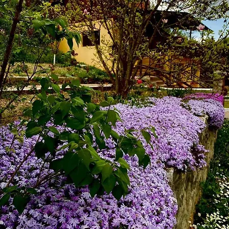 House In The Woods Bed and breakfast Resita