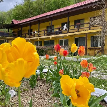 Bed and breakfast House In The Woods Resita